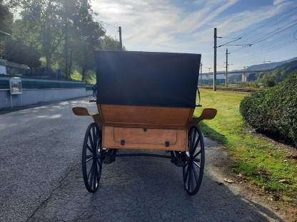 Bild 4:Vis-à-vis Kutsche