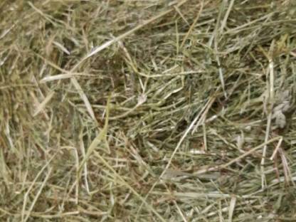 Bild 3:Heu Rundballen, Warmluft getrocknet