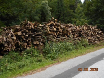 Brennholz