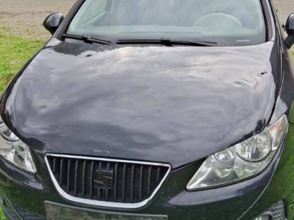 Seat Ibiza ST