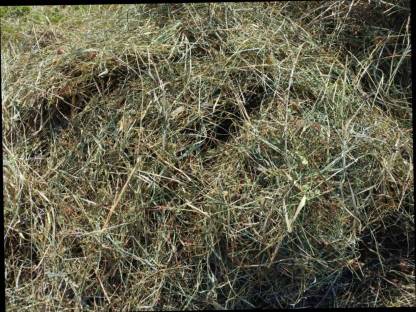 Bild 3:Bio Heuballen