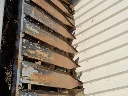 Bild 3:Sonnenblumen Schifferl