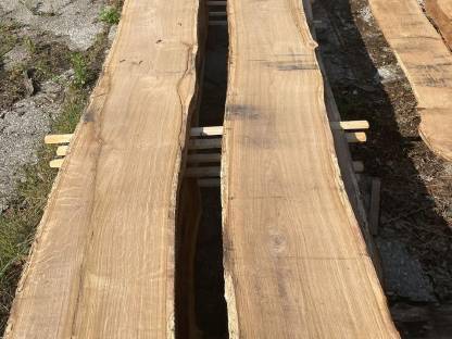 Bild 4:Eichenholz Schnittware, 30, 50 mm