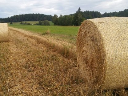 Roggenstroh, Selbstbergung