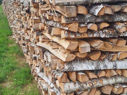 Birken Brennholz