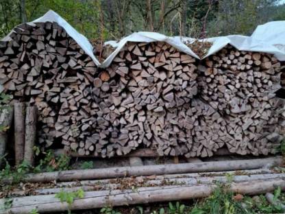 Brennholz