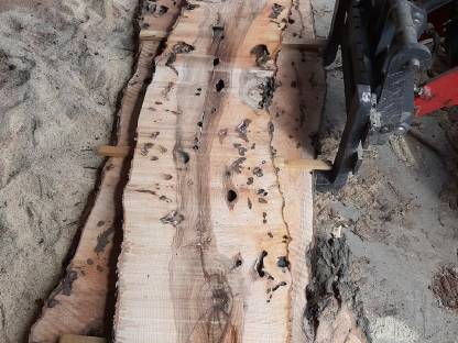 Bild 4:Esche Pfosten