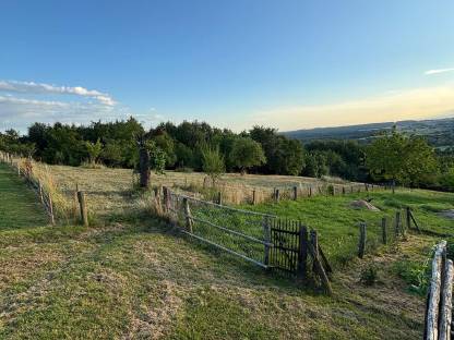 Bild 6:Weidefläche in Wolfau