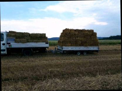 Bild 2:Stroh in Kleinballen Ernte 2025