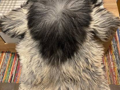 Bild 4:Schaffell Steinschaf massiv Langhaar 20 cm