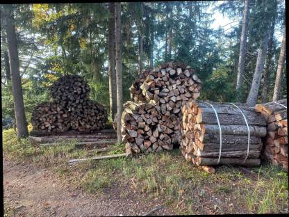 Bild 3:Brennholz