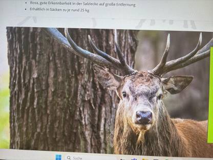 Bild 3:TORNADO Wildzaun, Wildschutzzaun, Wildschutz Zaun