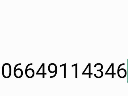 Bild 4:Gruber verteiler