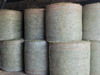 Bild 6:Verkaufe Top Heuballen