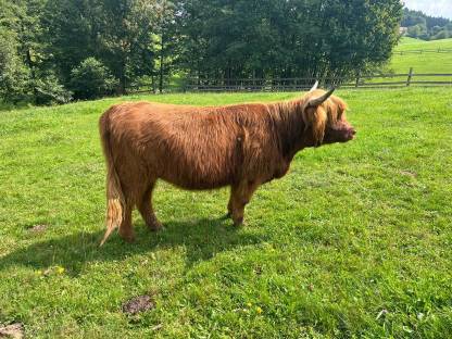 Bild 3:Melita vom Kaiserhof