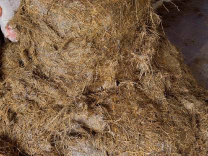 Bild 3:Siloballen 32 Messer Pöttinger Impress