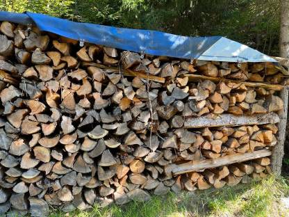 Bild 2:Brennholz