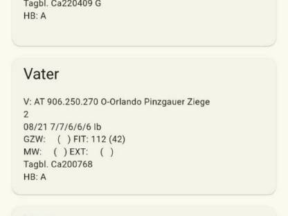 Bild 2:Pinzgauer Ziegenbock