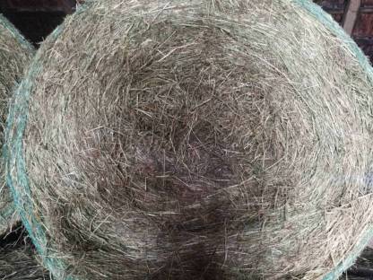 Bild 2:Heu Rundballen