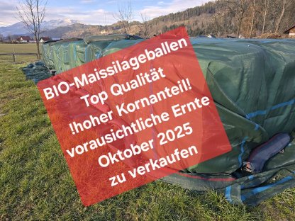 BIO-Maissilageballen