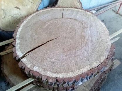 Eichenplatte Baumscheibe