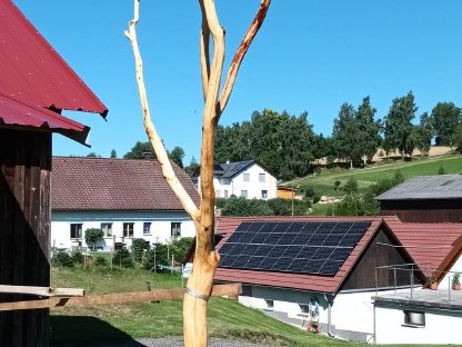 Unikat der Natur