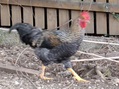 Bild 5:Verschiedene Hähne