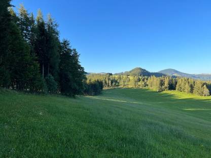 Bild 3:Almweide, Alm, Weide