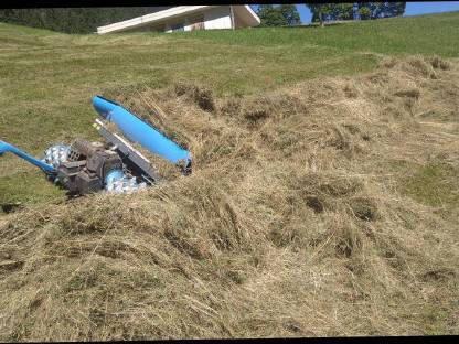 Bild 4:Brielmaier Hill Rake 250