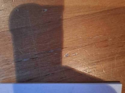 Bild 3:Blobe Ziegen,  Herdenbuch