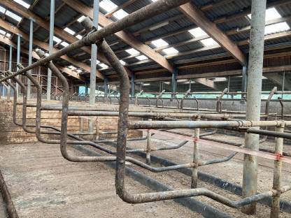 Bild 2:Liegeboxenbügel Schauer