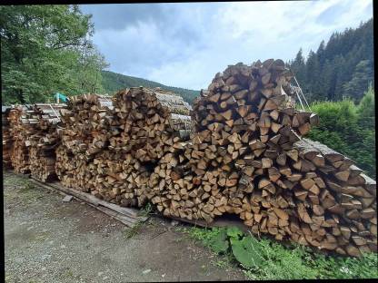 Bild 2:Brennholz