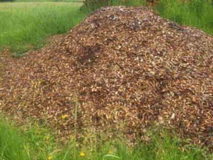 Bild 2:Hackschnitzel Rindenmulch