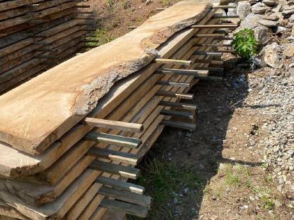 Bild 2:Bergahorn Pfosten