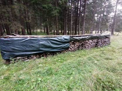 Brennholz Fichte und Erle