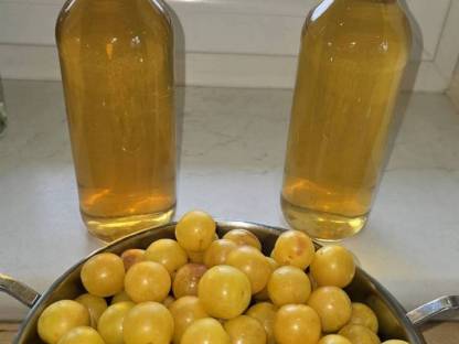 Kriecherlgelee, Marmelade und Heidelbeermarmelade