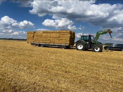 Bild 2:Heu und Stroh