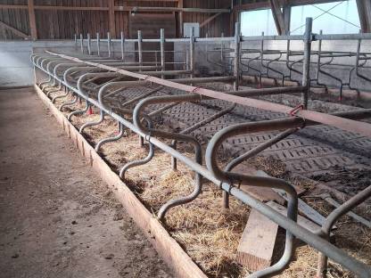 Bild 7:Selbstfangfressgitter, Liegeboxen