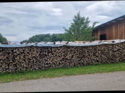 Bild 2:Buchenbrennholz