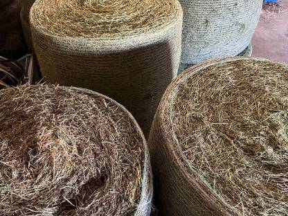 Bild 2:Bio Luzerne-Heu Rundballen
