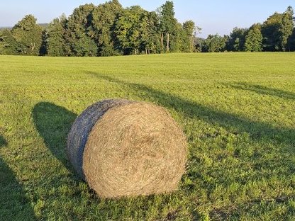 Grummet Heu Rundballen 2. Schnitt 2025
