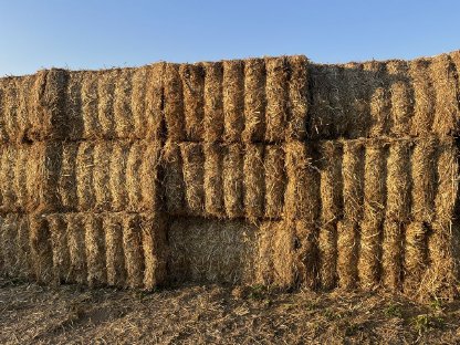 Bild 2:Quaderballen Stroh Finecut