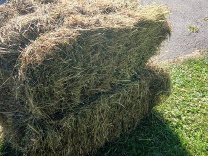 Bild 2:Kleinballen Heu erster Schnitt