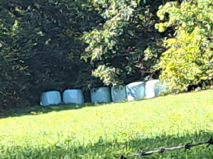 Bild 2:Silageheuballen