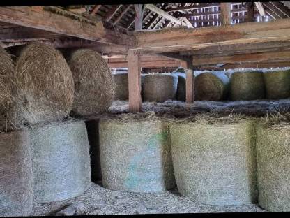 Bild 2:Heuballen und Grummetballen aus Naturschutzflächen