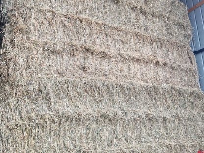 Bild 2:Heu Großballen