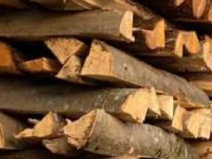 Buche Brennholz