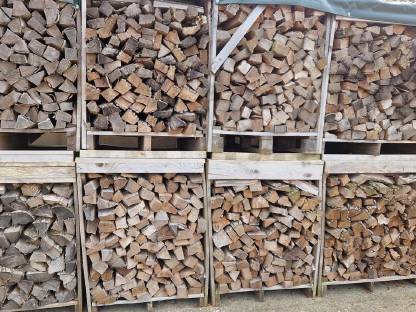 Bild 3:Brennholz, Hartholz