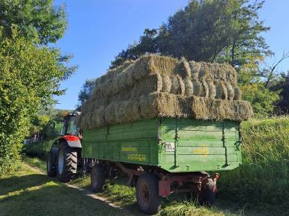 Bild 2:Heu