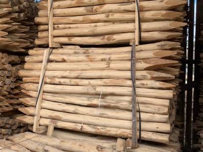 Bild 7:Akazienpfähle, Akazien Robinienpfähle, Weidezaun, Zaunpfähle